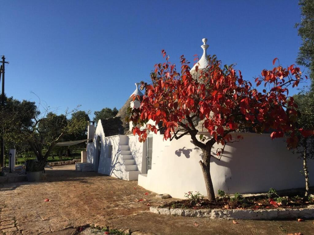 Chateaux Des Trulli San Michele Salentino Εξωτερικό φωτογραφία