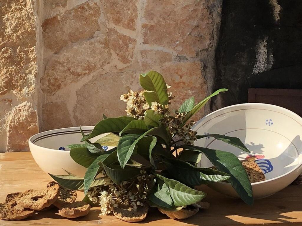 Chateaux Des Trulli San Michele Salentino Εξωτερικό φωτογραφία