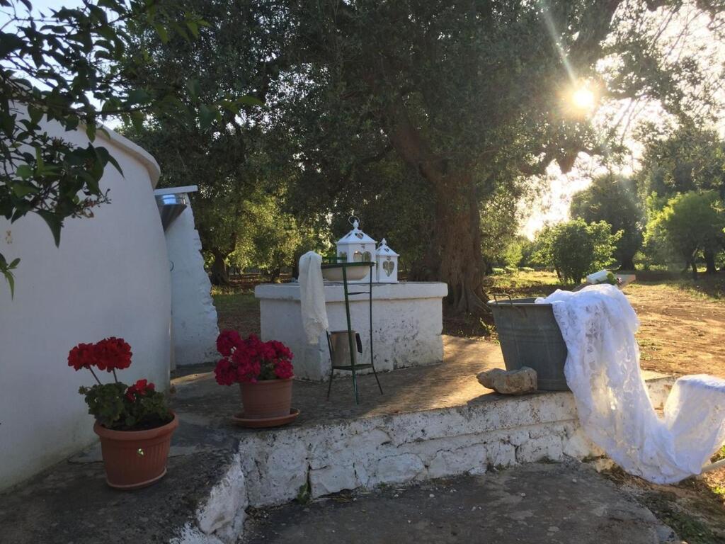Chateaux Des Trulli San Michele Salentino Εξωτερικό φωτογραφία